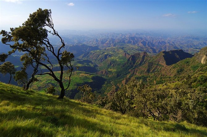10 Days North Historical Tour - Lake Tana brings boats and round-roofed churches