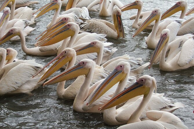 2-Day private Tour in Bahir Dar and Blue Nile falls - The private format and level of service