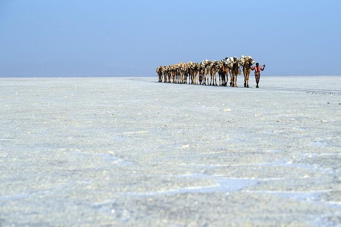 2 Days Dallol Trip - Day two: salt cutting, Dallol, and Lake Assal