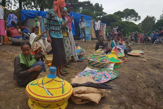 2 Days Ethiopian Rift Valley Lakes Tour from Addis Ababa - Guides, vehicles, and the private format