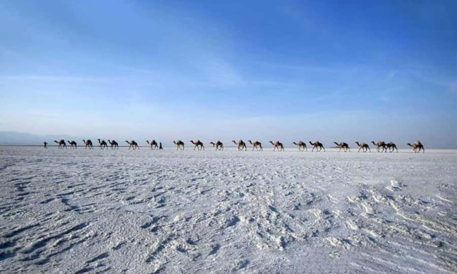 2-Night 3-Day Danakil Depression Tour without Flights - Key things to know before you go