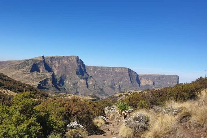 2 Nights 3 Days Trek to Semien Mountain - Day one: Gondar to Sankobar at 3,250 meters