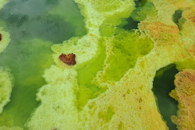 3 Day Danakil Depression Ertale and Dallol Tours - Transport, meals, and the value of $400