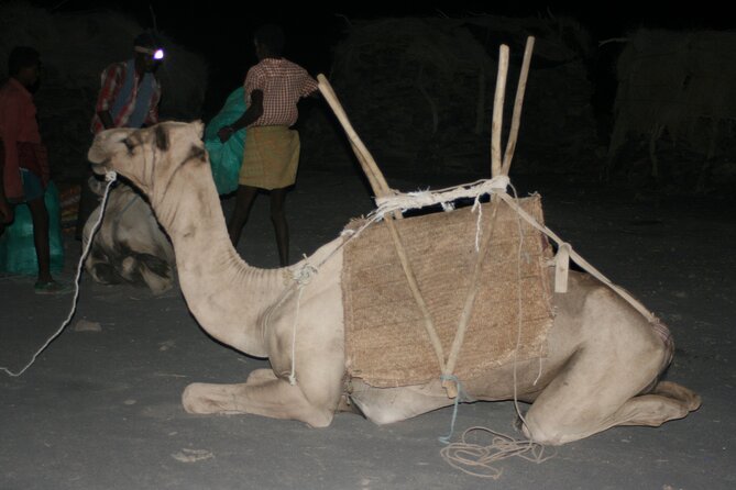 3-Day Danakil Depression Expedition - Day 3: Afdera and the return to Semera