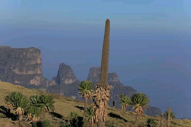3 Day Simien Mountains Tours - The pickup details need clarification