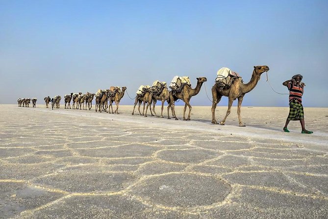 3 Day Tour to the Danakil Depression, Dallol, and Earta'le Volcano - What the $550 price really covers