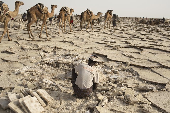 3 Day Tour to the Danakil Depression, Dallol, and Earta'le Volcano - Practical details that matter before departure