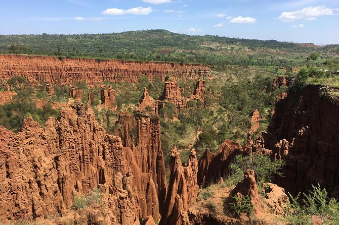 3 Days, Arba Minch, Dorze village and Konso Village - Day Three: Forty Springs and Lake Chamo