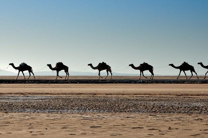 3 Days Danakil Depression Tours Via Semera - Erta Ale is the hard-earned highlight