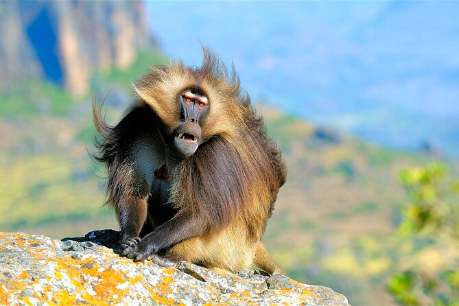 4 Days Tour to North Part of Ethiopia - What the $350 price means for you