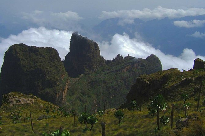 4 Days Trekking to Simien Mountain National Park - The walking level and who should book