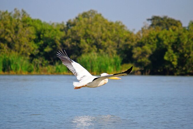 5 Day Addis,Bahir Dar,Gondar,Simien Mountains and Lalibela Tours - Day 4: Simien Mountains and high-country views