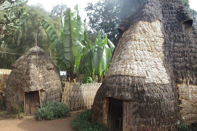 6 day Omo ValleyTours - Day 6: Lake Chamo’s crocodiles and fish market