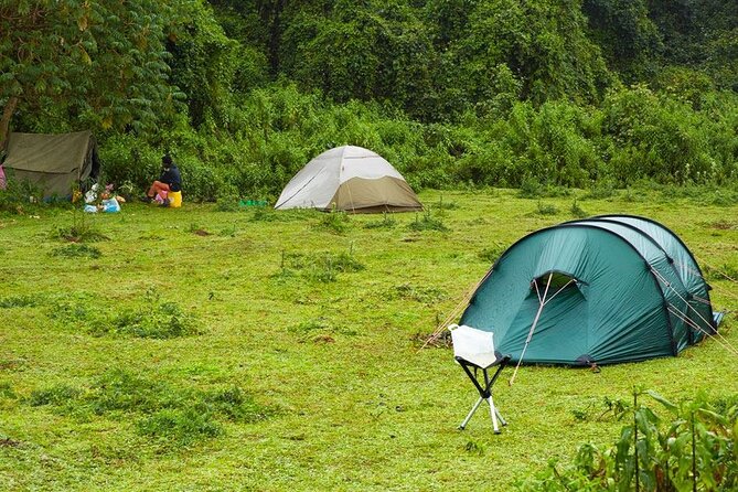 6 Days Bale Mountains Trekking - What the $488 price really covers