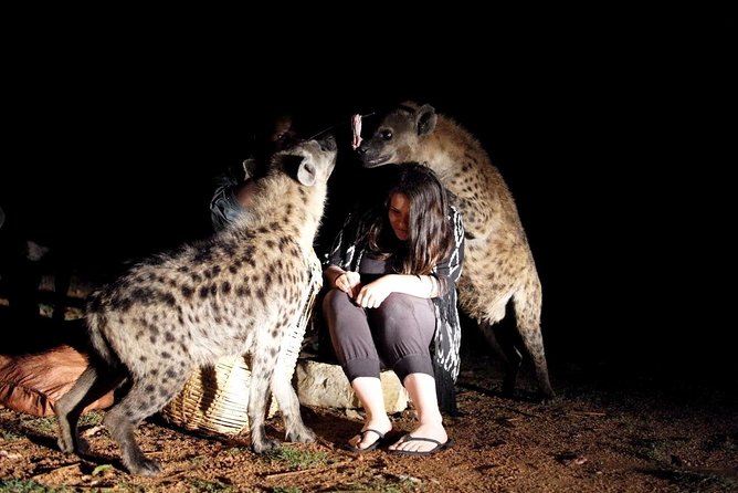 6 Days Lalibela, Omo Valley and Harar - Harar after dark and the nightly hyena feeding