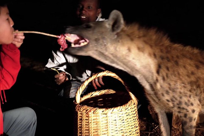 6 Days Lalibela, Omo Valley and Harar - Harari homes, markets, and Dire Dawa