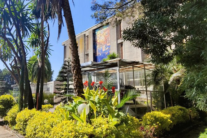 A Guided Tour of Addis Ababa That Includes a City Viewpoint - A smart first look at Addis Ababa