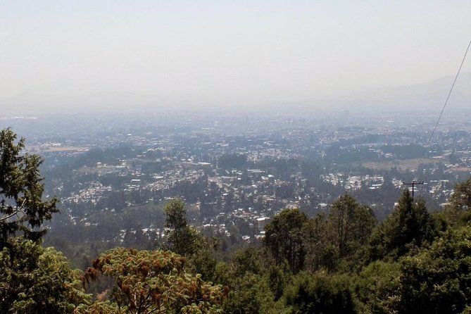 Addis Ababa City Tour - Starting with Ethiopia’s past at the National Museum