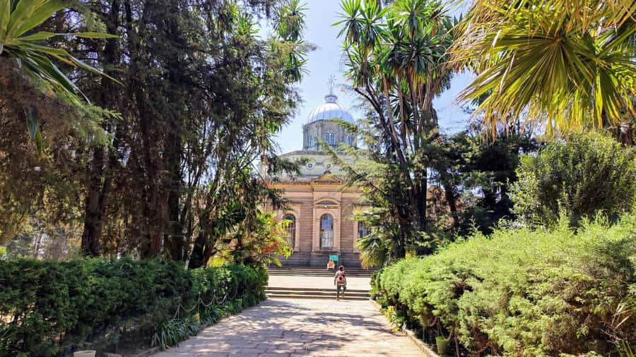 Addis Ababa city tour from Bole airport and All Hotels - Starting at the National Museum and meeting Lucy