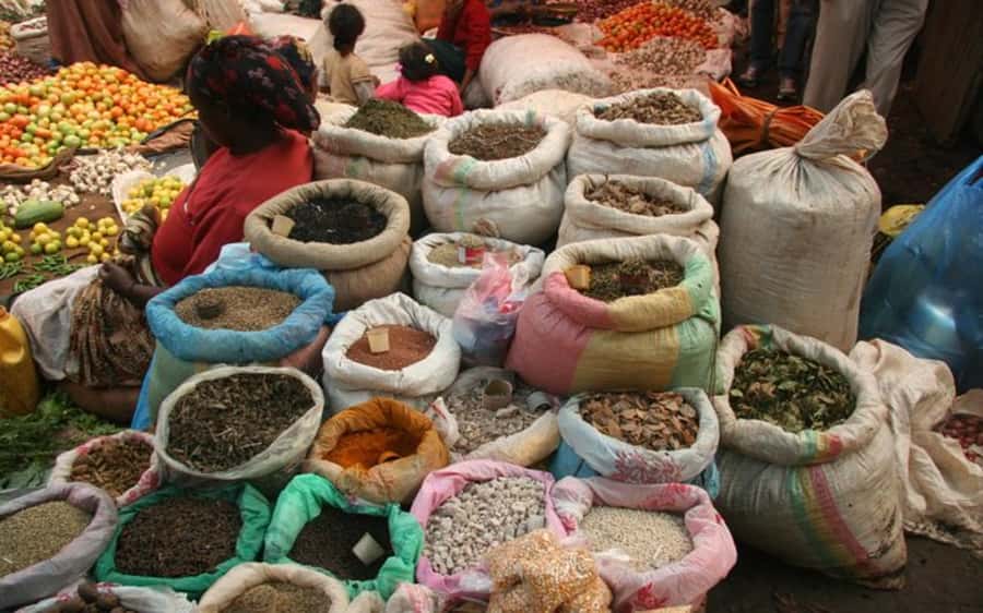 Addis Ababa: Entoto hill and Mercato Market layover tour - Key points to know before booking