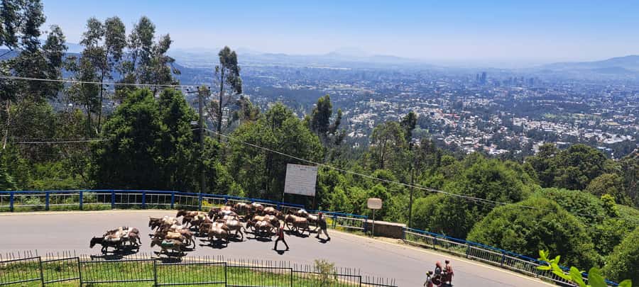 Addis Ababa Essentials: Flexible Full-Day City Sightseeing - The vehicle, timing, and flexibility