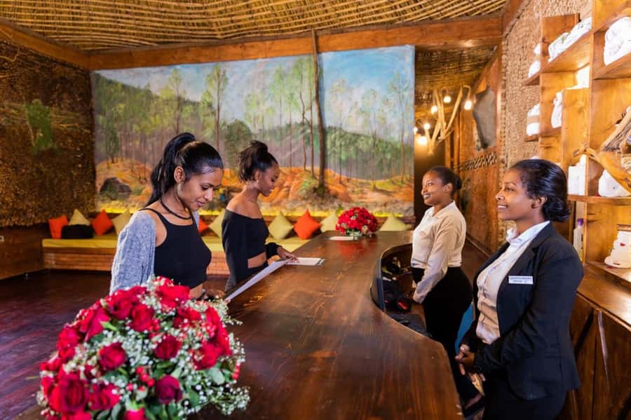 Addis Ababa ,Forest Spa Experience, massage and steam sunna - From Bole to the trees of Entoto