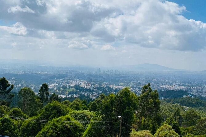 Addis Ababa Full Day City Tour - Starting at Bole Airport at 8:00 in the morning