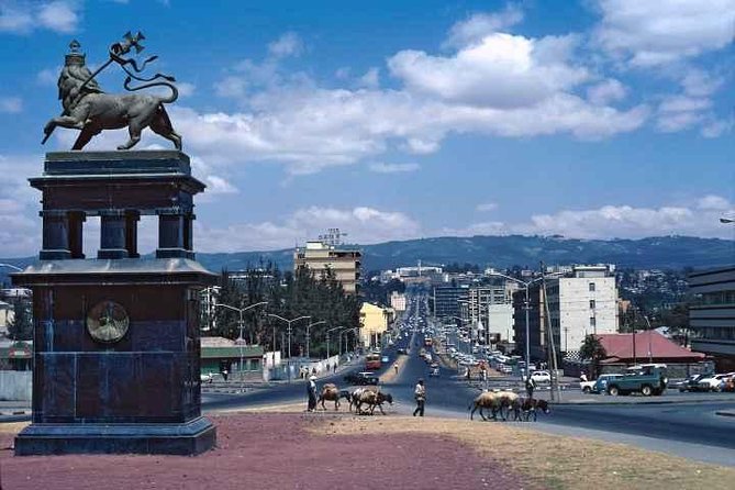 Addis Ababa Half Day Shopping Tour - Two hours inside Merkato