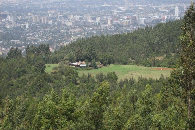 Addis Ababa +Mount Entoto View Point,Museums Palace Market Tours - Shiro Meda Market and Ethiopian textiles