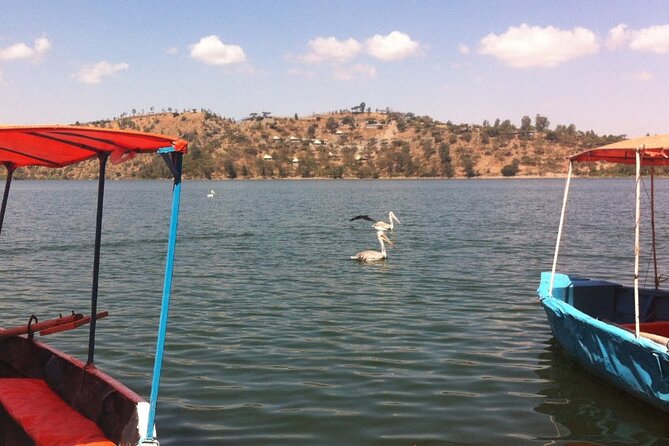 Addis Ababa Spa Day Trip To Debre Ziet(Resort Towns) - Swimming, tennis, kayaking, and gym time