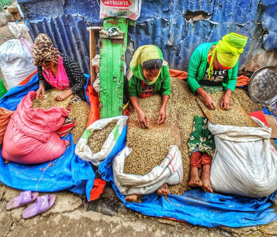 "Addis Uncovered: Culture, Views & Everyday Vibes - Why this Addis Ababa tour works as a first introduction
