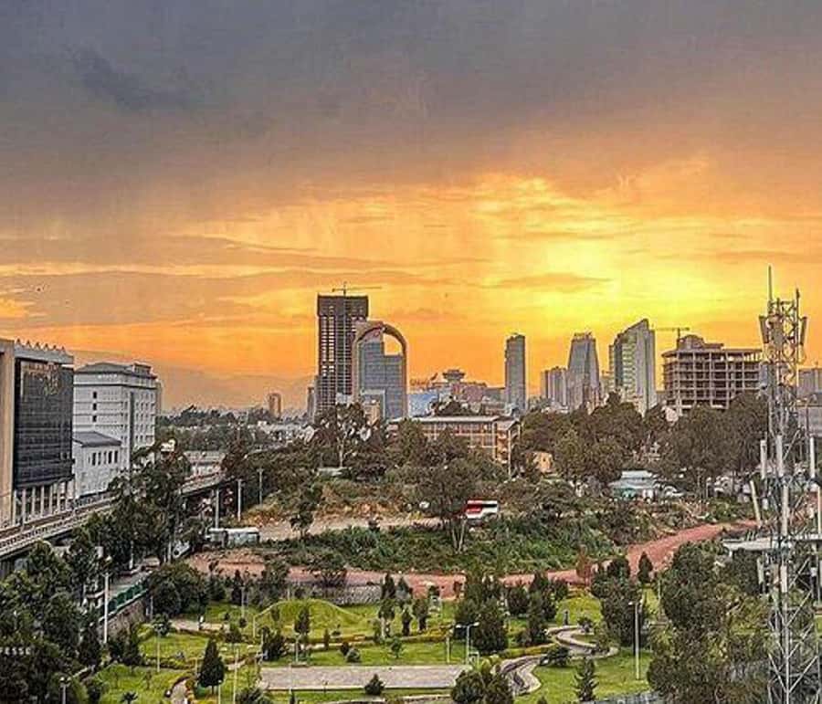 "Addis Uncovered: Culture, Views & Everyday Vibes - Starting with Lucy at the National Museum