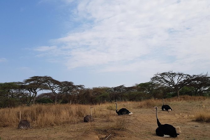 Arba Minch, Dorze Tribe, Konso, and Awasa Private 4 Days Tour from Addis Ababa - Hotels, clothing, and practical planning