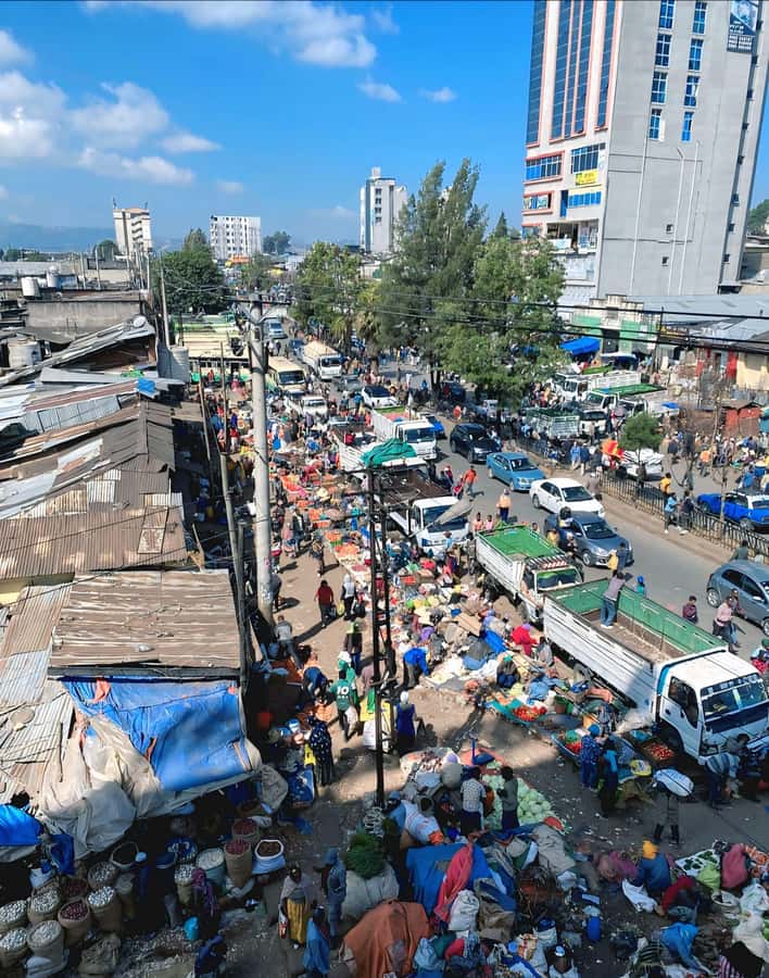 Authentic Addis Ababa City Tour with a Local Guide - Walking Through Mercato with Someone Who Knows the Way