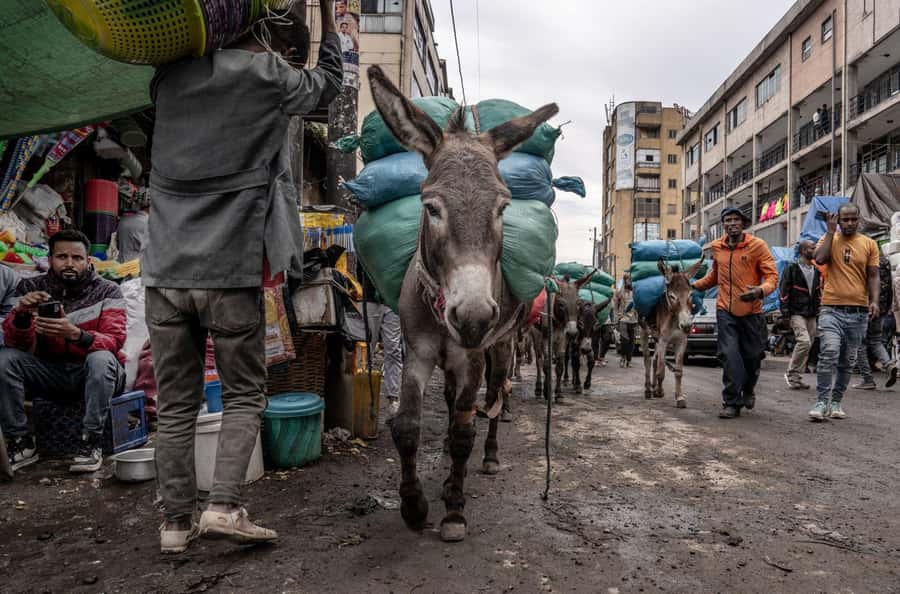 Authentic Addis Ababa City Tour with a Local Guide - What $67 Buys You