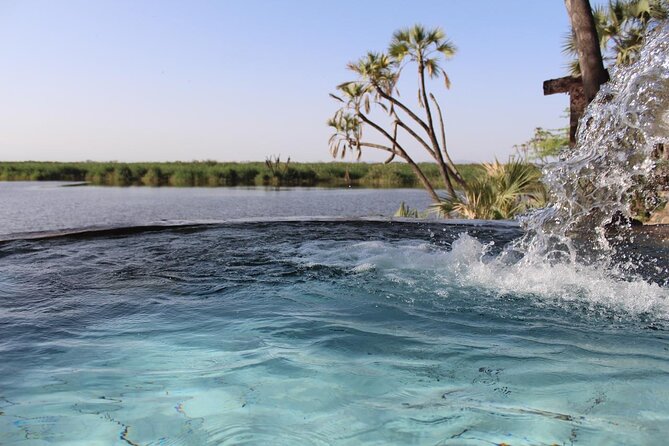 Awash National Park Tours - The park’s 756 square kilometers of acacia and grassland