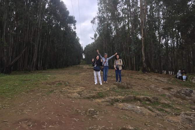 city tour of Addis Ababa ( history ,culture , food and more) - Key Points to Know Before You Book