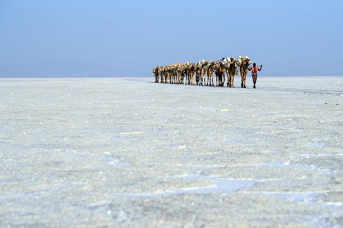 Danakil 3 days tour - Who will get the most from this trip?