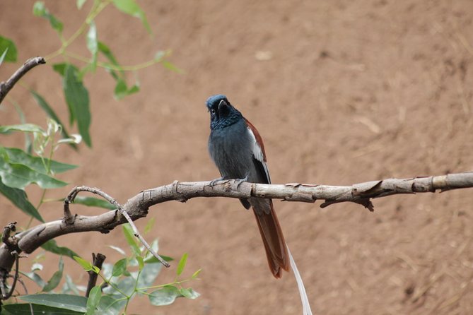 Day Hike Around Lalibela - Why This Hike Adds Something Different to Lalibela