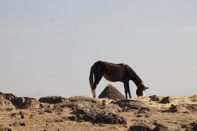Day Hike Around Lalibela - Who Should Book This Lalibela Day Hike?