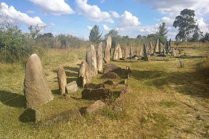 Day Tours to Tiya Stele and Cave Churches of Adadi Maryam - What the guide adds to the experience