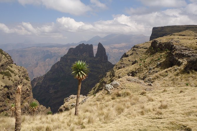 Day trek to Simeien Mountains - Lunch, coffee, and the practical comforts
