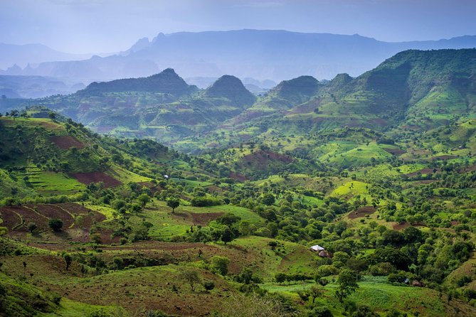 Day trek to Simien Mountain - Leaving Gonder for Debark at 8:30 am