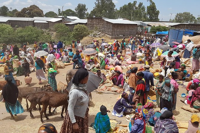 Day-Trip Church of Adadi Mariam from Addis Ababa - What the $250.52 group price really covers