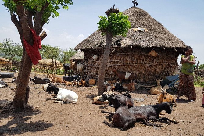 Day-Trip Church of Adadi Mariam from Addis Ababa - Weather, clothing, and practical planning