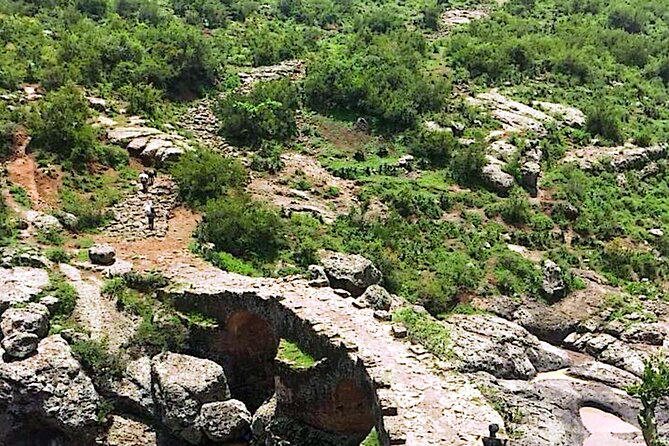 Day Trip Debre Libanos Bule Nile George and Portugal Bridge - Who will enjoy this Ethiopian day out