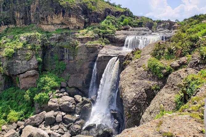 Day Trip From Addis Ababa See Historical Monastery,Stunning Nature,Animals,Birds - Guides, drivers, and the feel of the day