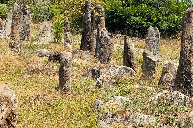 Day Trip to Adadi Rock and Tiya Archeological Excursion - Why this Addis Ababa day trip is worth your time