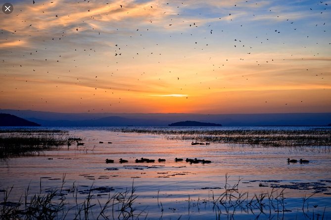 Day Trip To Lake Ziway - Bochessa wetland and the bird list