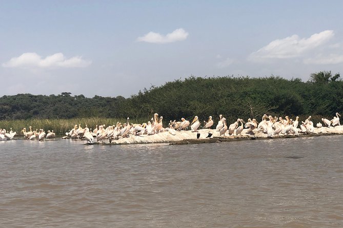Day Trip To Lake Ziway - Is $275 per person fair?